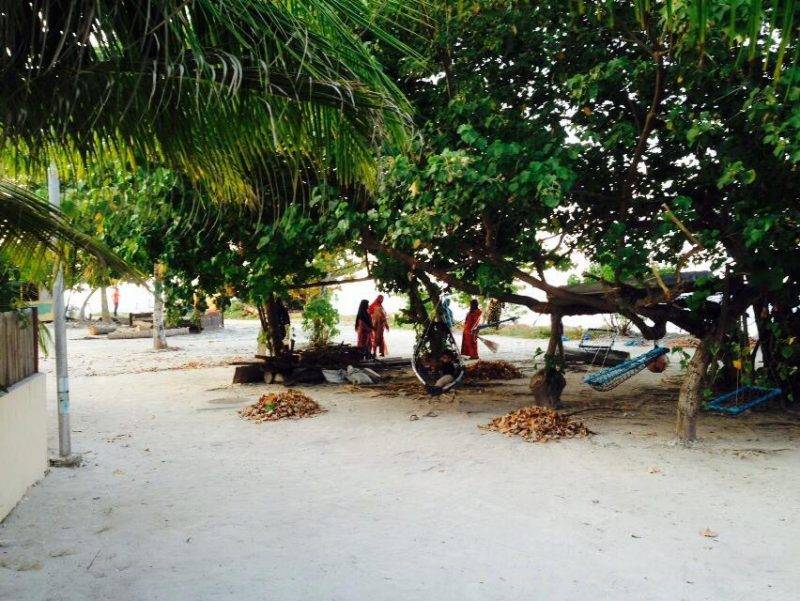 Amazing Noovilu