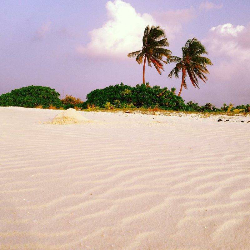 Amazing Noovilu