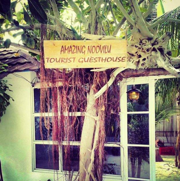 Staying at the Amazing Noovilu Guesthouse