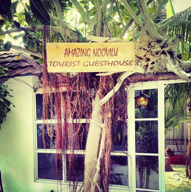 Amazing Noovilu
