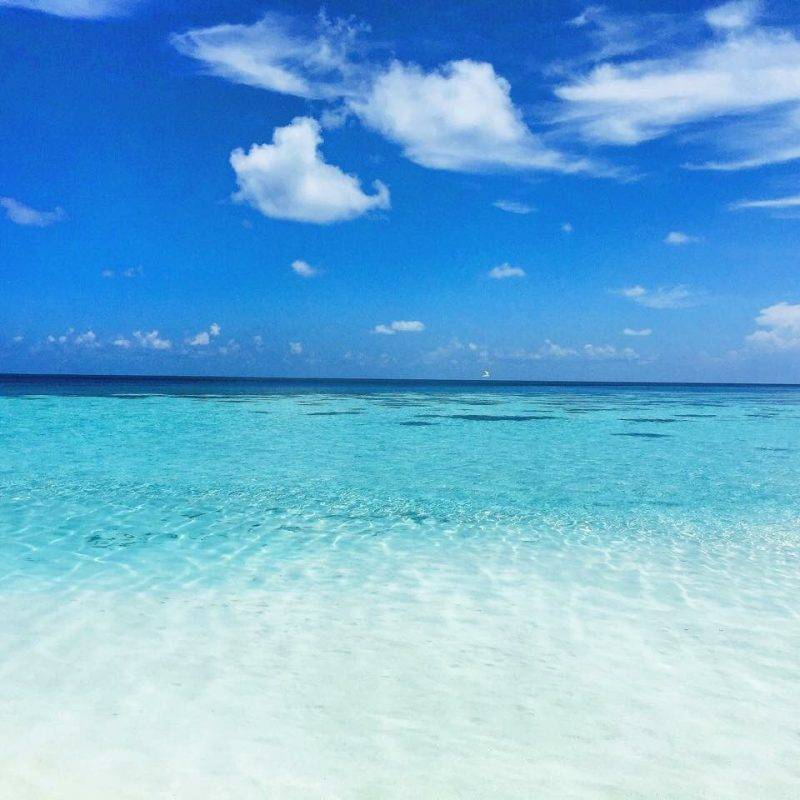 Amazing Noovilu