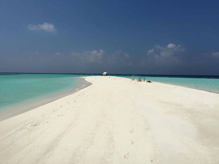 Amazing Noovilu