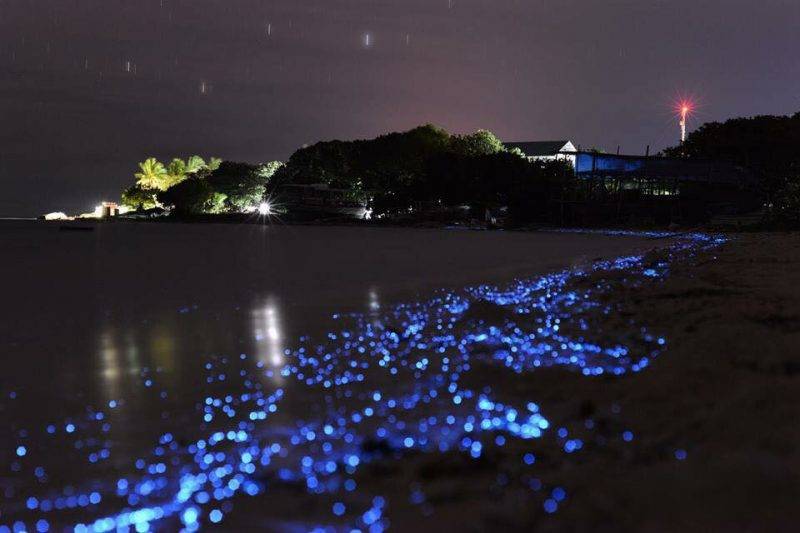 Amazing Noovilu