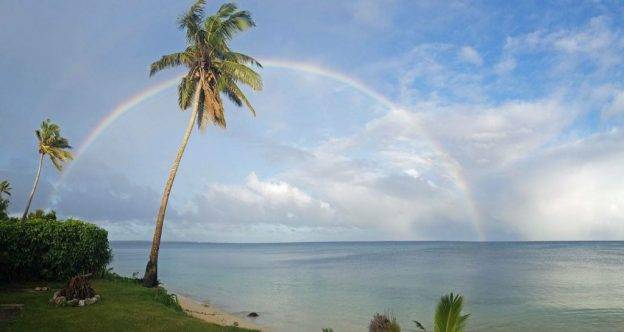 Swimming with Whales in Tonga