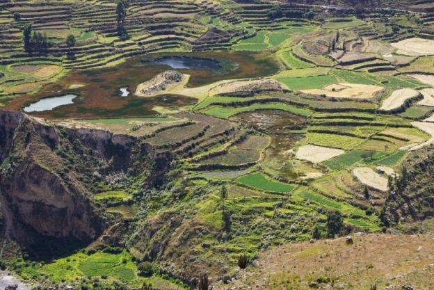 Colca Canyon – a day trip from Arequipa Peru