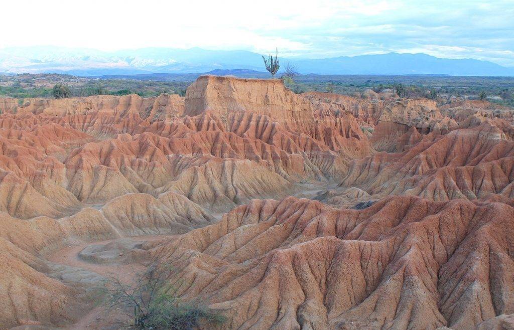 Tacoma Desert - Colombia destinations