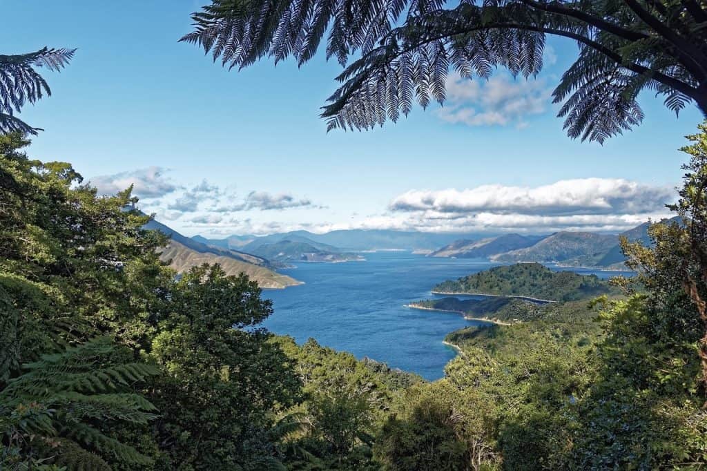 North Island New Zealand Itinerary