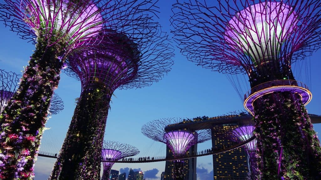 Gardens by the bay - Instagrammable Places in Singapore