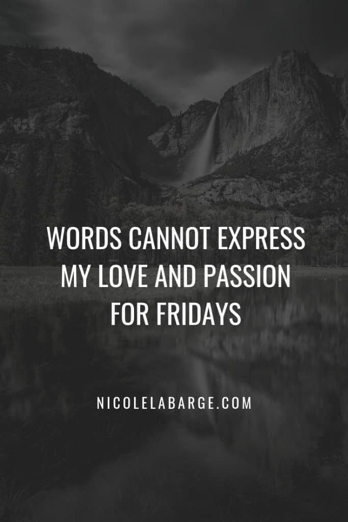 150+ Secret Instagram Bio Quotes to help you transform your Instagram