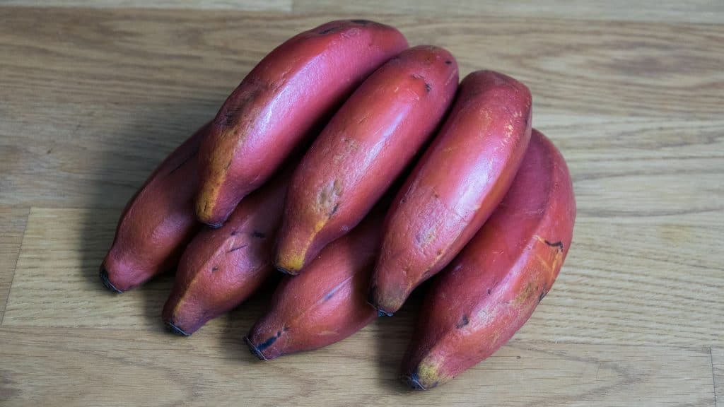 Red bananas in Sri Lanka 