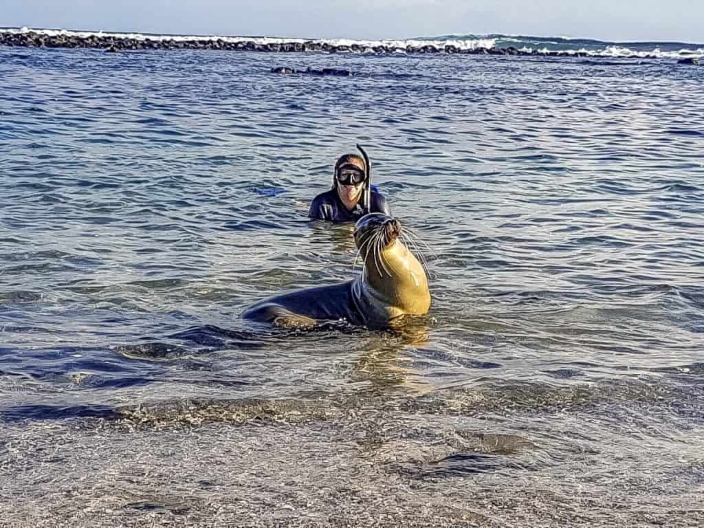  snorkel and mask set for swimming with seals