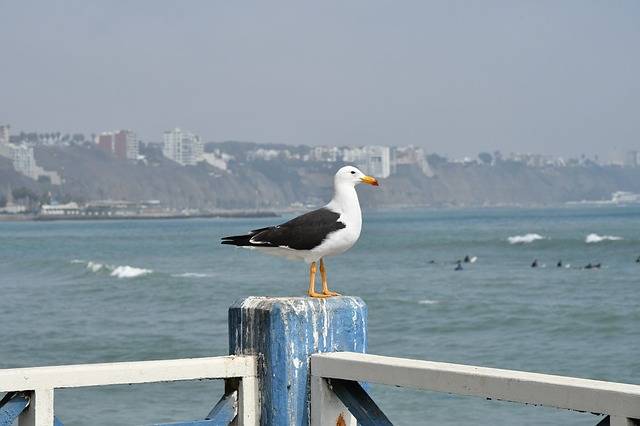 lima beaches