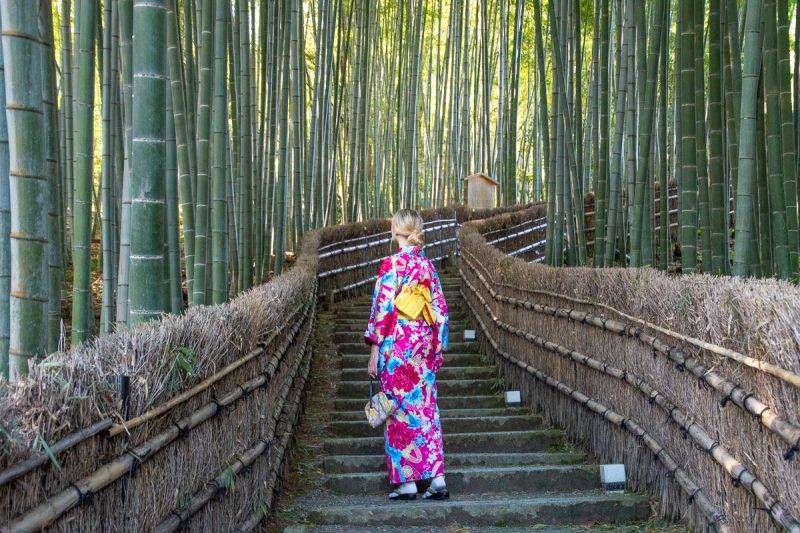 Adashino Japanese temples Kyoto