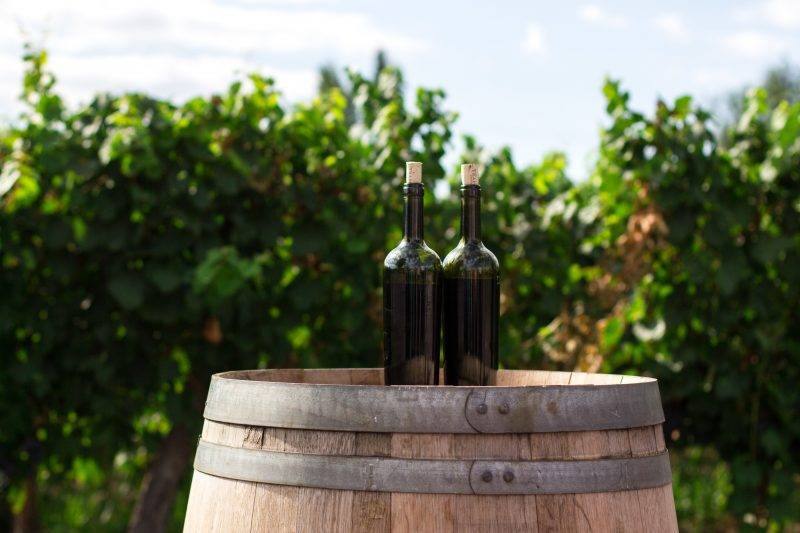 6 Of The Best Door County Wineries That You Ll Love