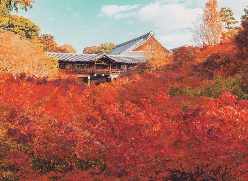 must see temples in kyoto