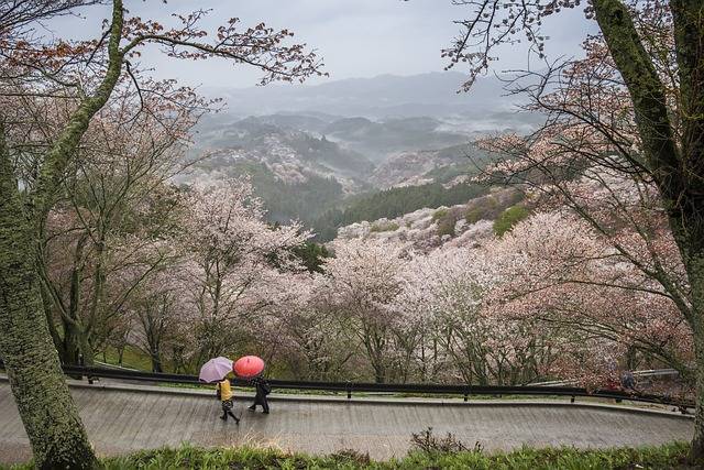 Nara day trips from kyoto