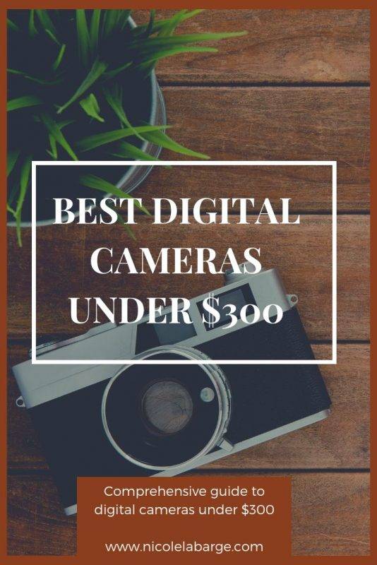 best digital camera under 300