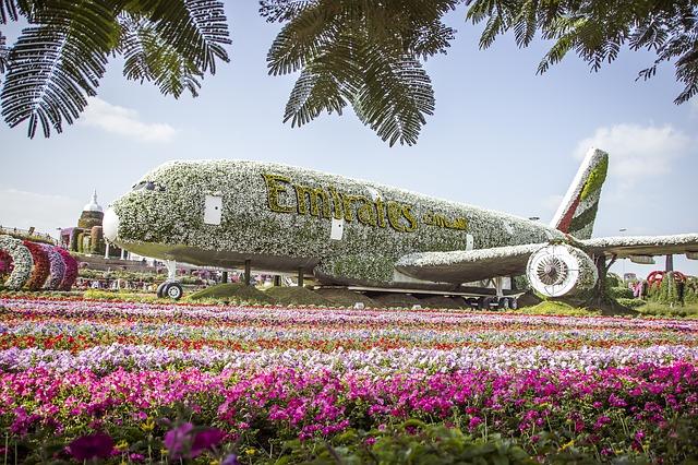 Miracle Garden Dubai Facts