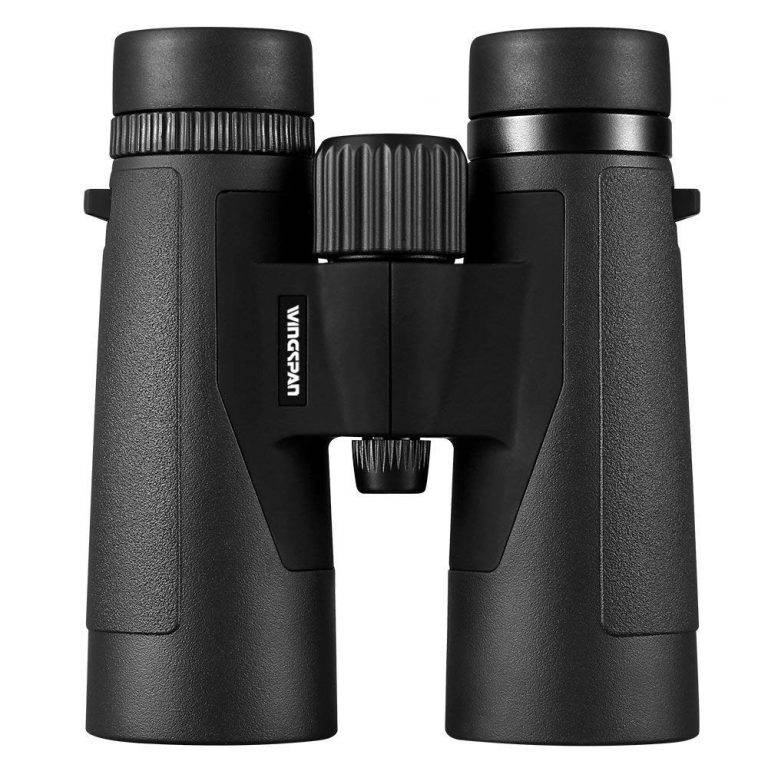 8 Best Compact Binoculars under 100 2021 Reviews Travelgal Nicole