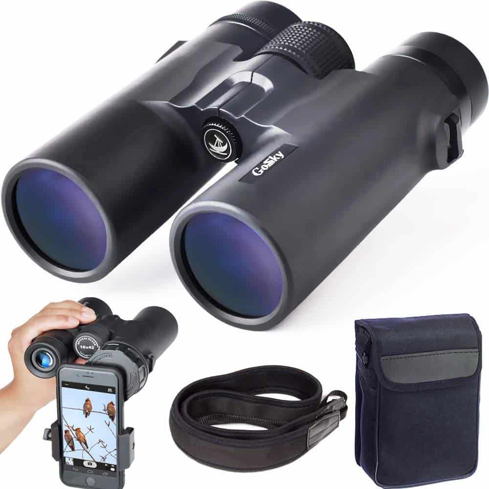 9 Best Compact Binoculars for Birding and Hiking - Binoculars Insights