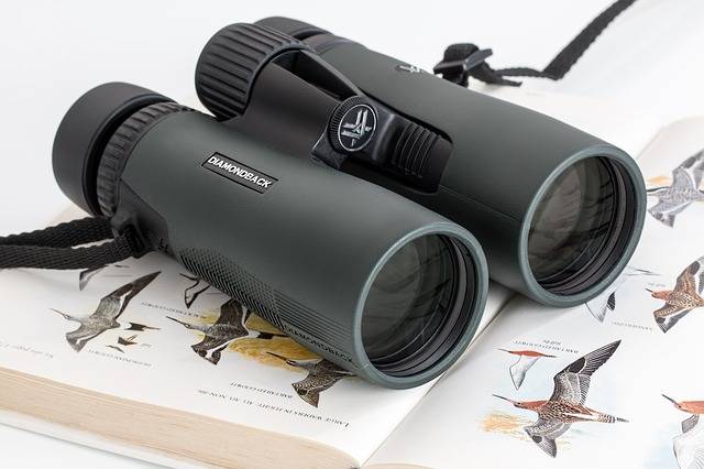 best binoculars for safari