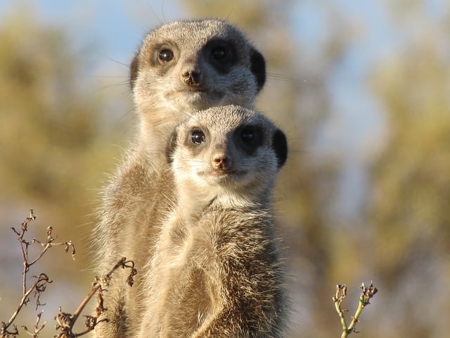 namibia is one of the Safest countries in Africa and the best african countries to visit