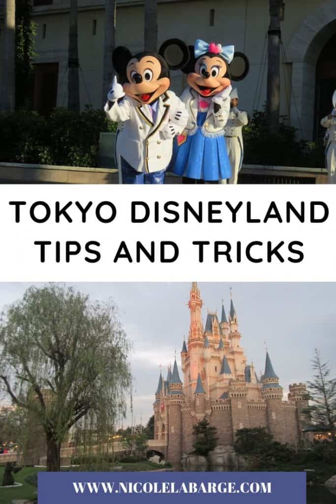 tokyo disneyland tips