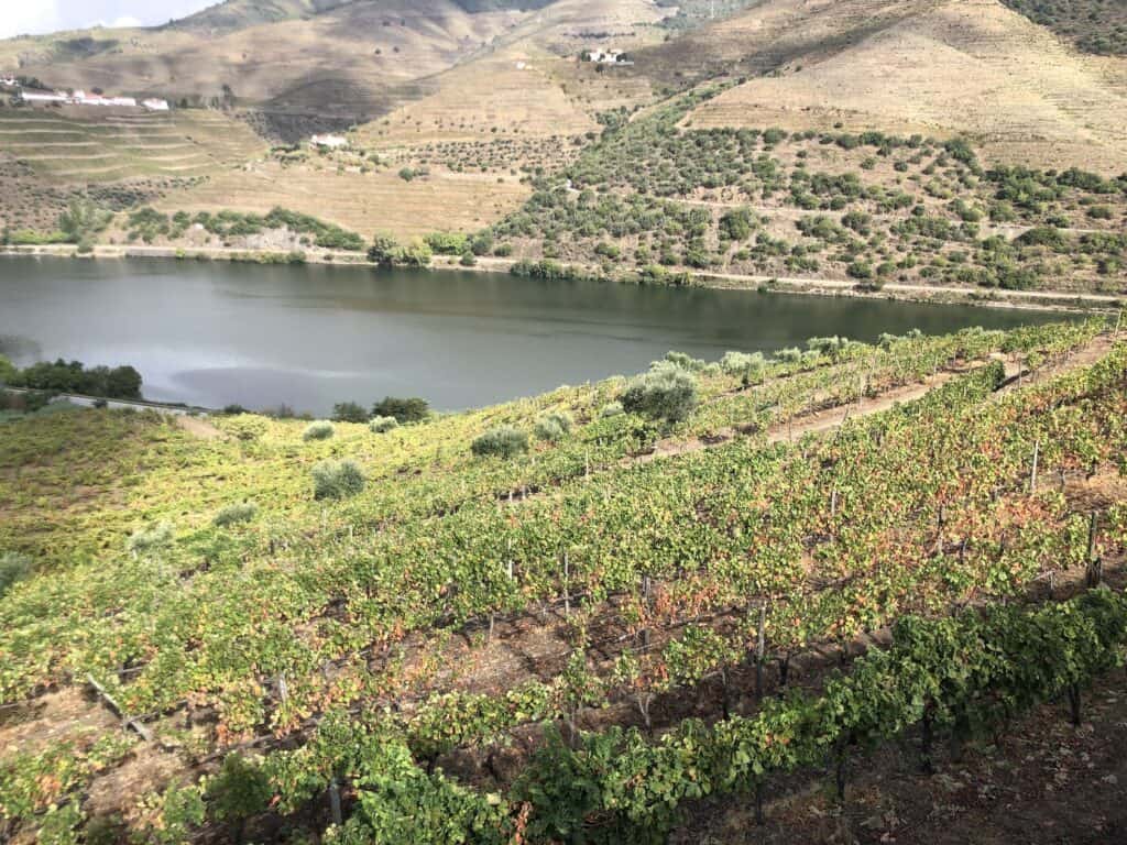 douro valley porto tour