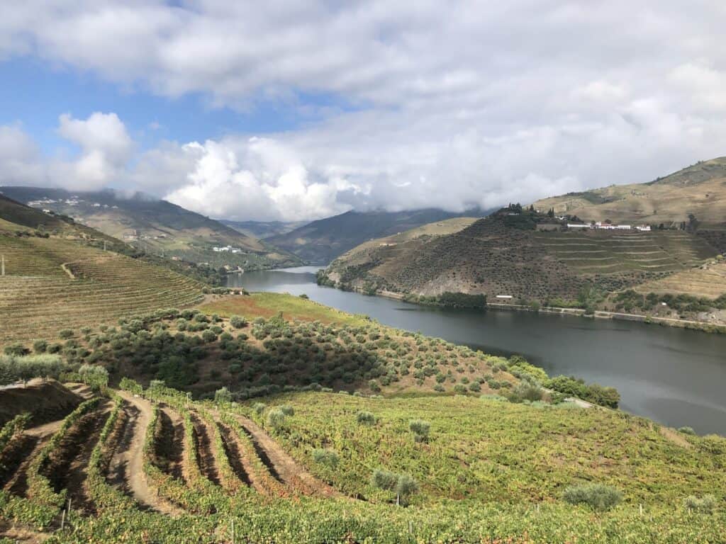 douro tours