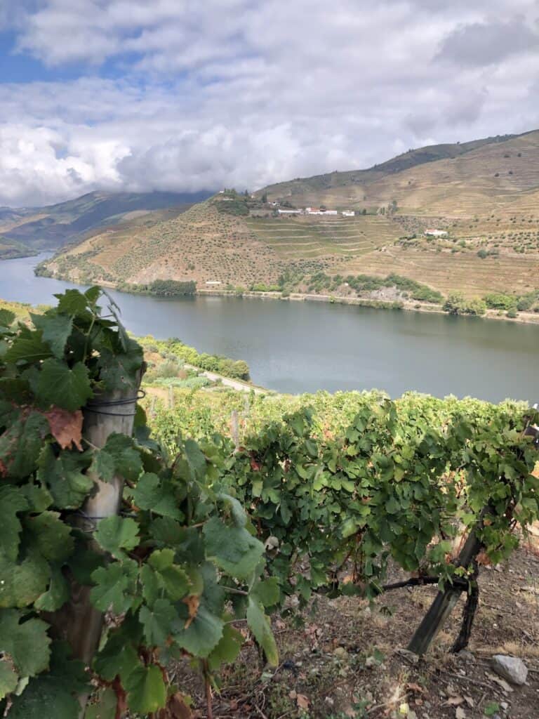 best douro valley tour