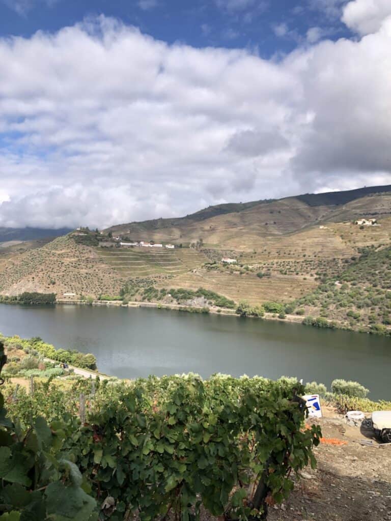 douro valley tours